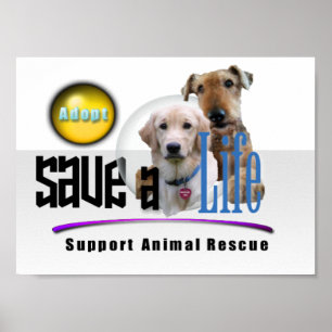 ANIMAL RESCUE SUPPORT - ADOPT! POSTER