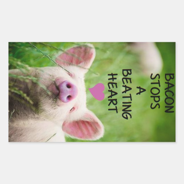 Animal rights sticker. sticker (Front)