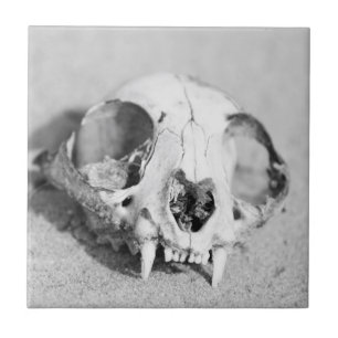 Animal’s skull tile