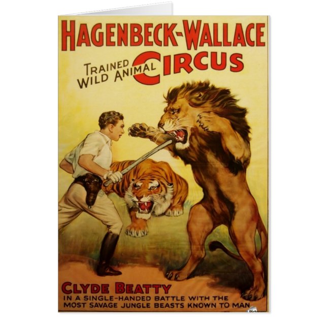 Animal sauvage plus docile (Devant)