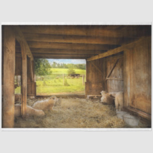 Animal - Sheep - Counting sheep Tissue Paper