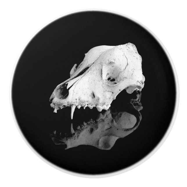 Animal skull ceramic knob (Front)