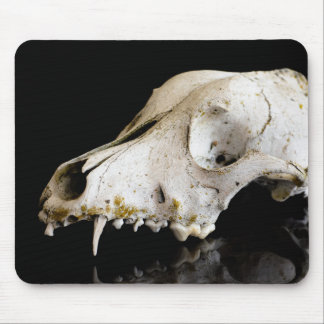 Animal skull mouse pad
