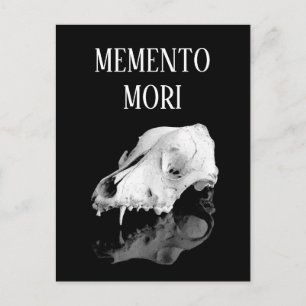 Animal skull postcard