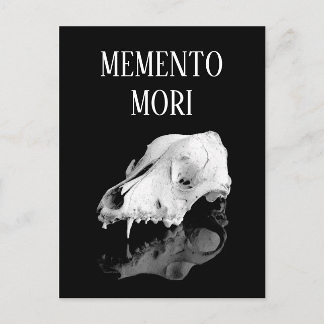 Animal skull postcard (Front)