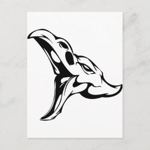 Animal Skull Postcard
