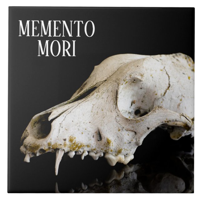 Animal skull tile (Front)