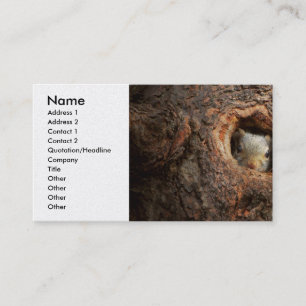 Animal - Squirrel - I'm not shy I'm an introvert Business Card