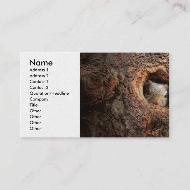 Animal - Squirrel - I'm not shy I'm an introvert Business Card (Front)
