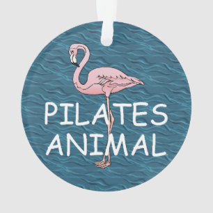 Animal SUPÉRIEUR de Pilates