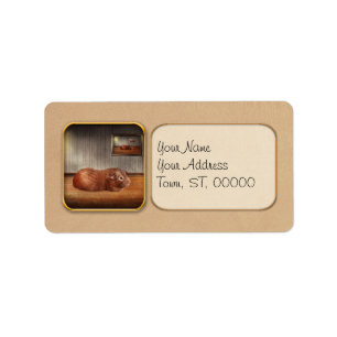 Animal - The guinea pig Label