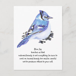 Animal Totem Blue Jay Inspirational Nature Guide Postcard