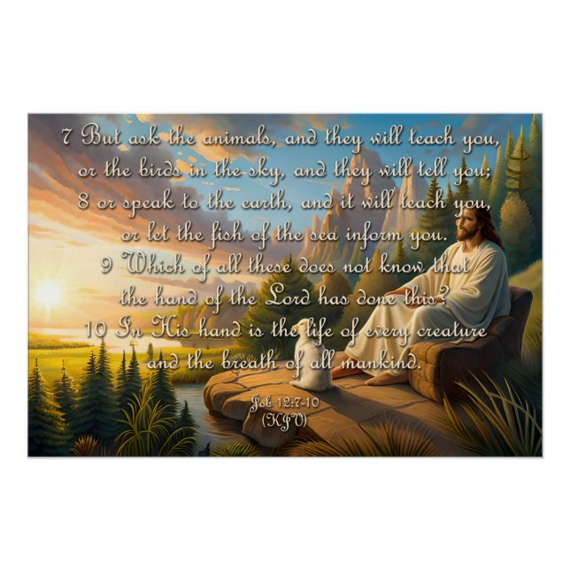 Animal verse poster -  Job 12:7-10 (Front)