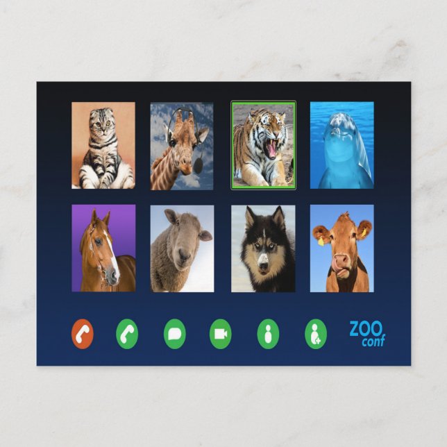 Animal Video Conference Postcard (Front)