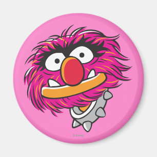 Animal With Collar Magnet