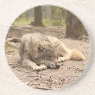 Animal Wolf Peace Love Wild Country Nature Coaster