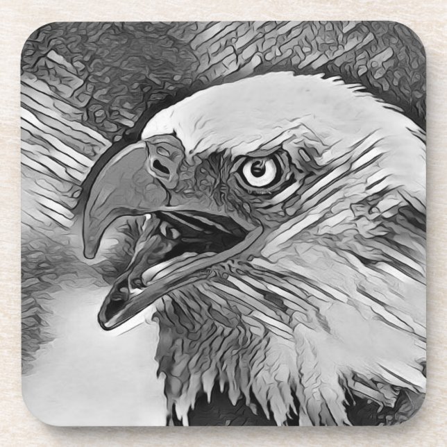 AnimalArtBW_Bird_002 Coaster (Front)