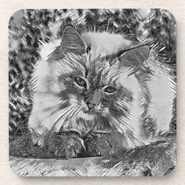 AnimalArtBW_Cat_07 Coaster (Front)