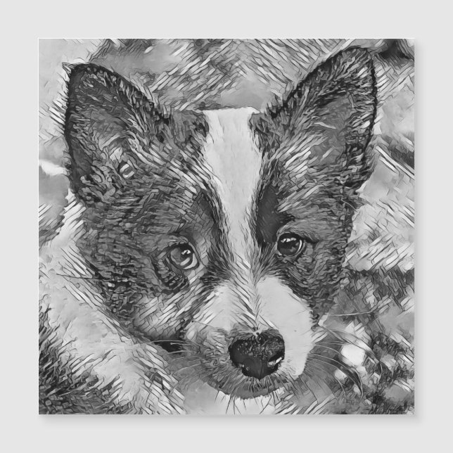 AnimalArtBW_Dog_016 (Front)