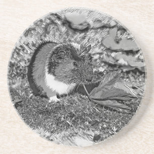 AnimalArtBW_GuineaPig_001 Coaster
