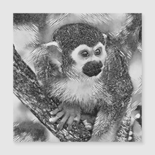AnimalArtBW_Monkey_002