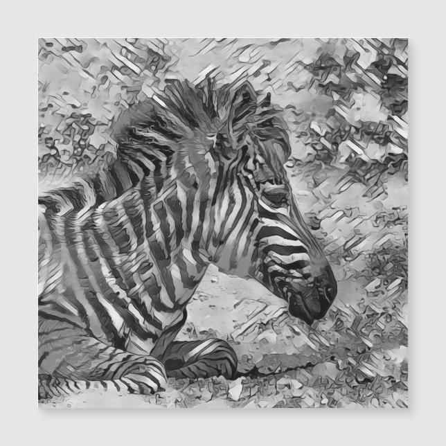 AnimalArtBW_Zebra_001 (Front)