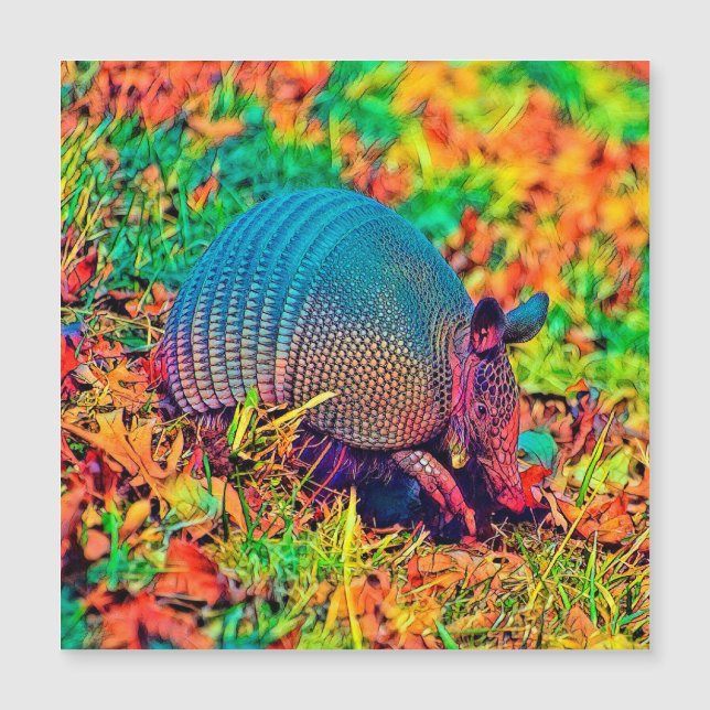 AnimalColor_Armadillo_001 (Front)