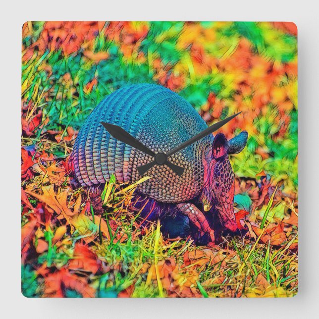 AnimalColor_Armadillo_001 Square Wall Clock (Front)