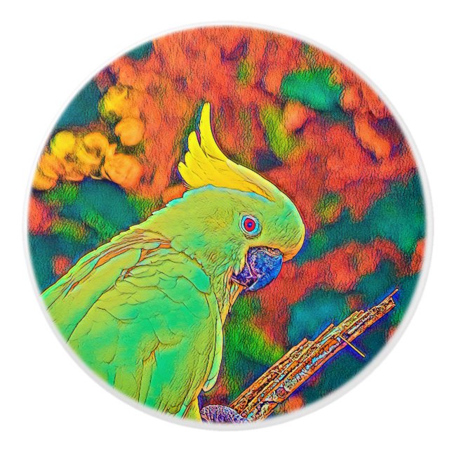AnimalColor_Bird_003 Ceramic Knob (Front)