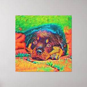 AnimalColor_Dog_002 Canvas Print