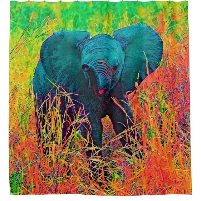 AnimalColor_Elephant_002 (Front)