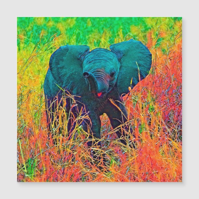 AnimalColor_Elephant_002 (Front)