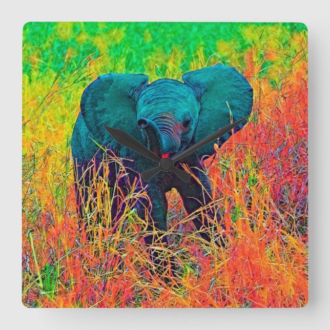 AnimalColor_Elephant_002 Square Wall Clock (Front)