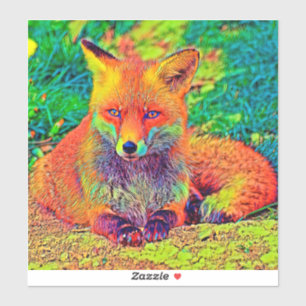 AnimalColor_Fox_001