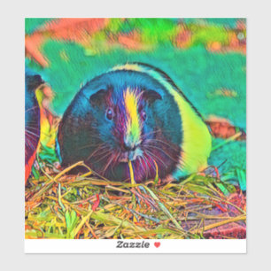 AnimalColor_Guineapig_002