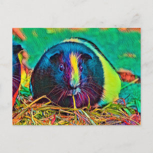 AnimalColor_Guineapig_002 Postcard