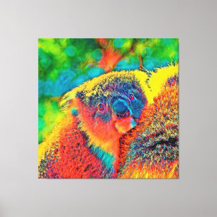 AnimalColor_Koala_001 Canvas Print