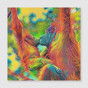 AnimalColor_OrangUtan_013