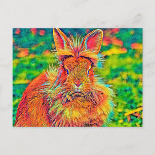 AnimalColor_Rabbit_004 Postcard