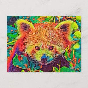 AnimalColor_RedPanda_001 Postcard