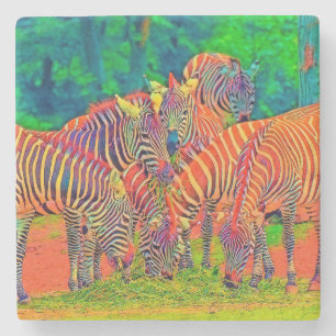 AnimalColor_Zebra_002 Stone Coaster