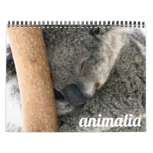 animalia 2025 calendar