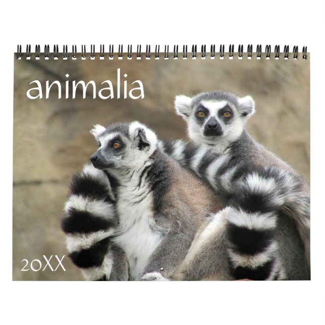 animalia 2027 calendar (Cover)