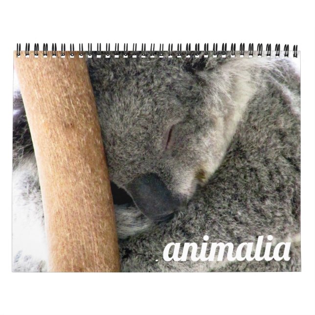 animalia 2027 calendar (Cover)