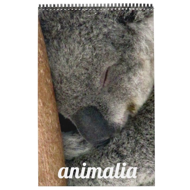 animalia calendar (Cover)