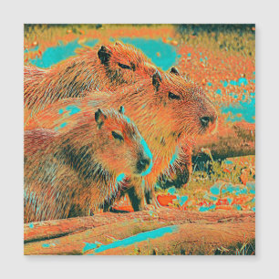 AnimalMix_Capybara_006