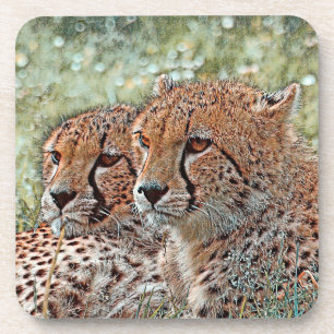 AnimalMix_Cheetah_031 Coaster