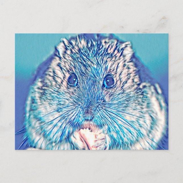 AnimalMix_Hamster_003 Postcard (Front)
