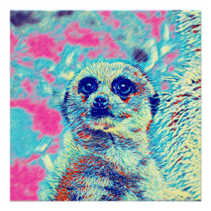 AnimalMix_Meerkat_008 Poster