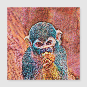 AnimalMix_Monkey_001